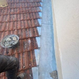 photo_2025-01-16_10-28-21